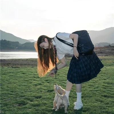银狐